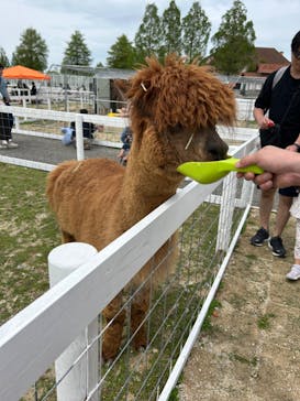 滋賀農業公園ブルーメの丘に投稿された画像（2024/4/29）