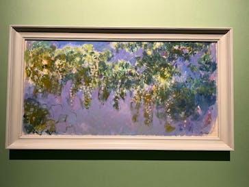 モネ　連作の情景に投稿された画像（2024/4/29）