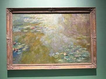 モネ　連作の情景に投稿された画像（2024/4/29）