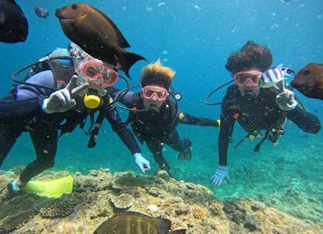 武藤潜水に投稿された画像（2024/4/29）