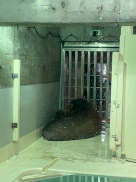 大分マリーンパレス水族館 「うみたまご」に投稿された画像（2024/4/29）