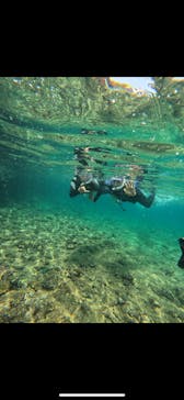 武藤潜水に投稿された画像（2024/4/29）