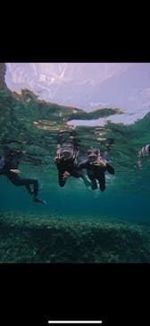 武藤潜水に投稿された画像（2024/4/29）