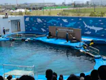 仙台うみの杜水族館に投稿された画像（2024/4/29）