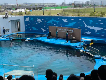 仙台うみの杜水族館に投稿された画像（2024/4/29）
