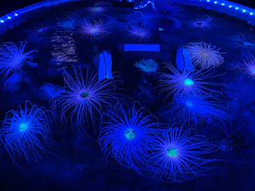 仙台うみの杜水族館に投稿された画像（2024/4/29）