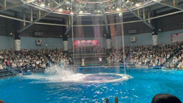 マクセル アクアパーク品川に投稿された画像（2024/4/29）