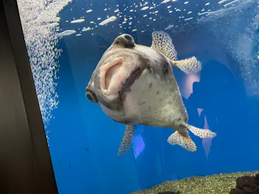 仙台うみの杜水族館に投稿された画像（2024/4/29）