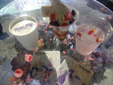 マクセル アクアパーク品川に投稿された画像（2024/4/29）