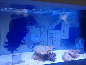 マクセル アクアパーク品川に投稿された画像（2024/4/29）