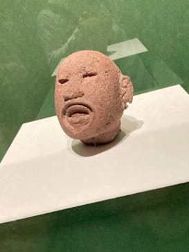 特別展「古代メキシコ ーマヤ、アステカ、テオティワカン」に投稿された画像（2024/4/29）