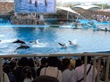 名古屋港水族館に投稿された画像（2024/4/29）