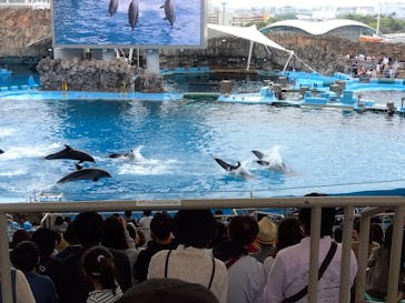 名古屋港水族館に投稿された画像（2024/4/29）