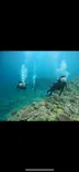 武藤潜水に投稿された画像（2024/4/29）