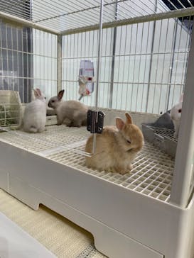 みんな大好き！！ペット王国に投稿された画像（2024/4/29）