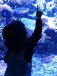 名古屋港水族館に投稿された画像（2024/4/29）