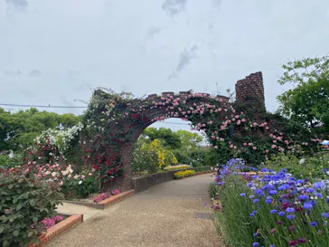 ひらかたパークに投稿された画像（2024/4/29）