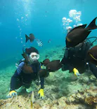 武藤潜水に投稿された画像（2024/4/29）