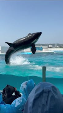 鴨川シーワールドに投稿された画像（2024/4/29）