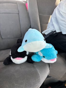 鴨川シーワールドに投稿された画像（2024/4/29）