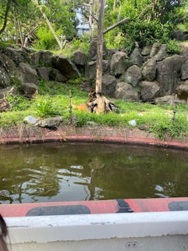 伊豆シャボテン動物公園に投稿された画像（2024/4/29）
