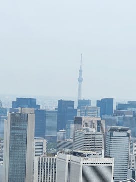 六本木ヒルズ展望台 東京シティビューに投稿された画像（2024/4/29）