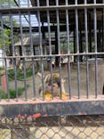 宇都宮動物園に投稿された画像（2024/4/29）