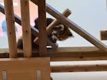 日立市かみね動物園に投稿された画像（2024/4/29）