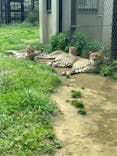 千葉市動物公園に投稿された画像（2024/4/29）