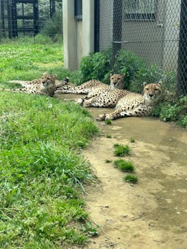 千葉市動物公園に投稿された画像（2024/4/29）