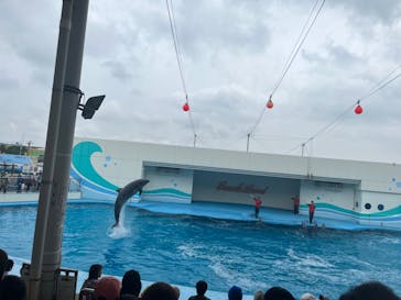 南知多ビーチランド＆南知多おもちゃ王国に投稿された画像（2024/4/29）