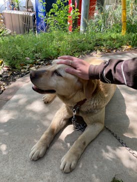 しろとり動物園に投稿された画像（2024/4/29）
