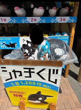 鴨川シーワールドに投稿された画像（2024/4/29）