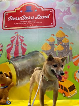 みんな大好き！！ペット王国に投稿された画像（2024/4/29）