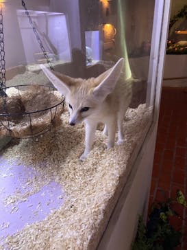 おきなわワールドに投稿された画像（2024/4/29）