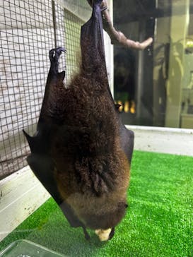 おきなわワールドに投稿された画像（2024/4/29）