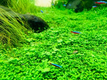 AOAO SAPPOROに投稿された画像（2024/4/29）