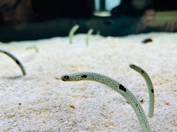 AOAO SAPPOROに投稿された画像（2024/4/29）