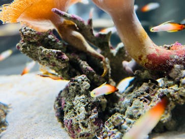 AOAO SAPPOROに投稿された画像（2024/4/29）