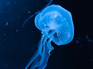 AOAO SAPPOROに投稿された画像（2024/4/29）