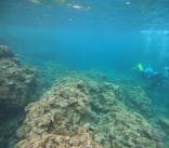 沖縄マリンサービス碧に投稿された画像（2024/4/29）