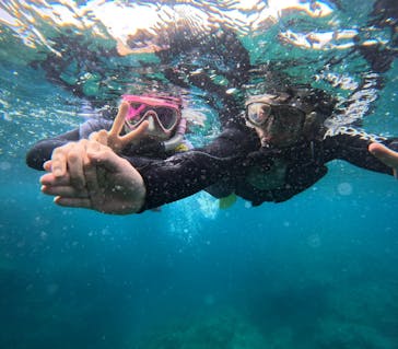 沖縄マリンサービス碧に投稿された画像（2024/4/29）