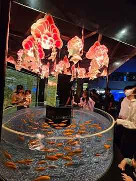 すみだ水族館に投稿された画像（2024/4/29）