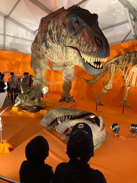 オダイバ恐竜博覧会2024 -福井から“ヤツラ”が新幹線でやってくる！-に投稿された画像（2024/4/29）