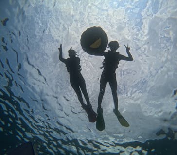 沖縄マリンサービス碧に投稿された画像（2024/4/29）