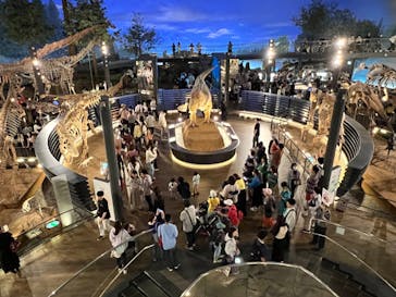 福井県立恐竜博物館に投稿された画像（2024/4/29）