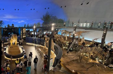 福井県立恐竜博物館に投稿された画像（2024/4/29）
