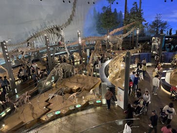 福井県立恐竜博物館に投稿された画像（2024/4/29）