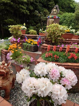 浜名湖花博2024に投稿された画像（2024/4/29）