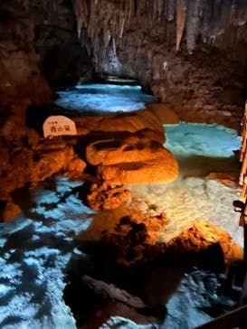 おきなわワールドに投稿された画像（2024/4/29）